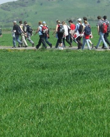 Wycieczki na zamówienie
